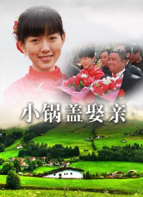 回归家族的小姐